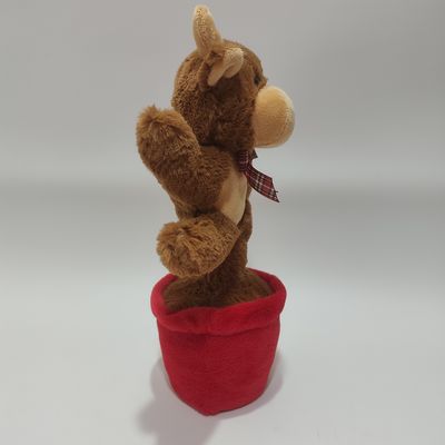 Şarkı Söyleyen ve Dans Eden İskoç İneği