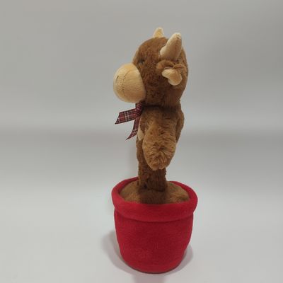 Şarkı Söyleyen ve Dans Eden İskoç İneği